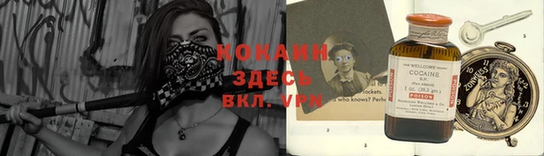 дурь Каменка