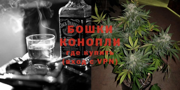 дурь Каменка