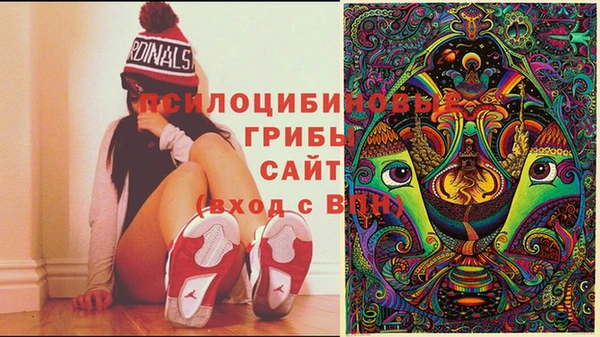 прущий лед Касимов