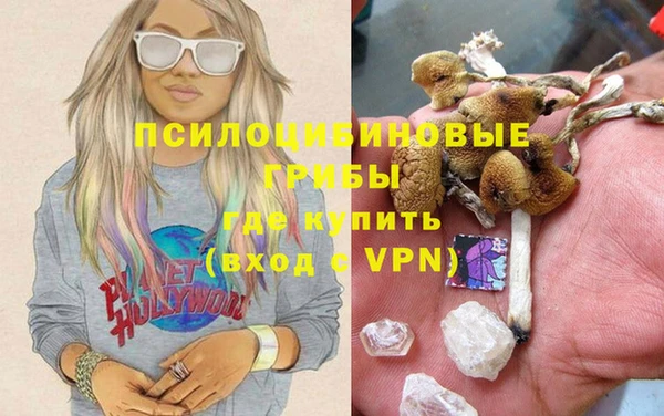 прущий лед Касимов
