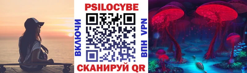 Галлюциногенные грибы Psilocybine cubensis  Купить  Сковородино 