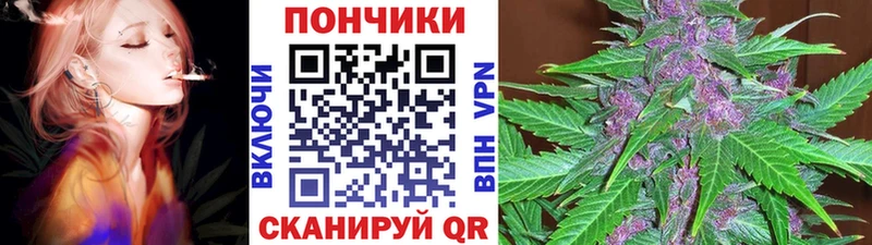 Купить где  Сковородино  Бошки Шишки VHQ 
